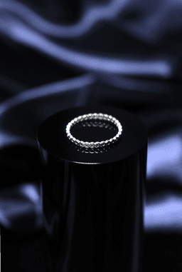 Ring Holes 3d model