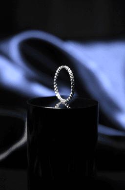 Ring Holes 3d model