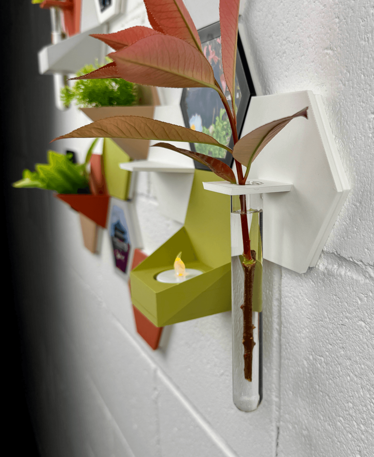 HEDRA, Modular Wall Ecosystem - Starter Pack 3d model