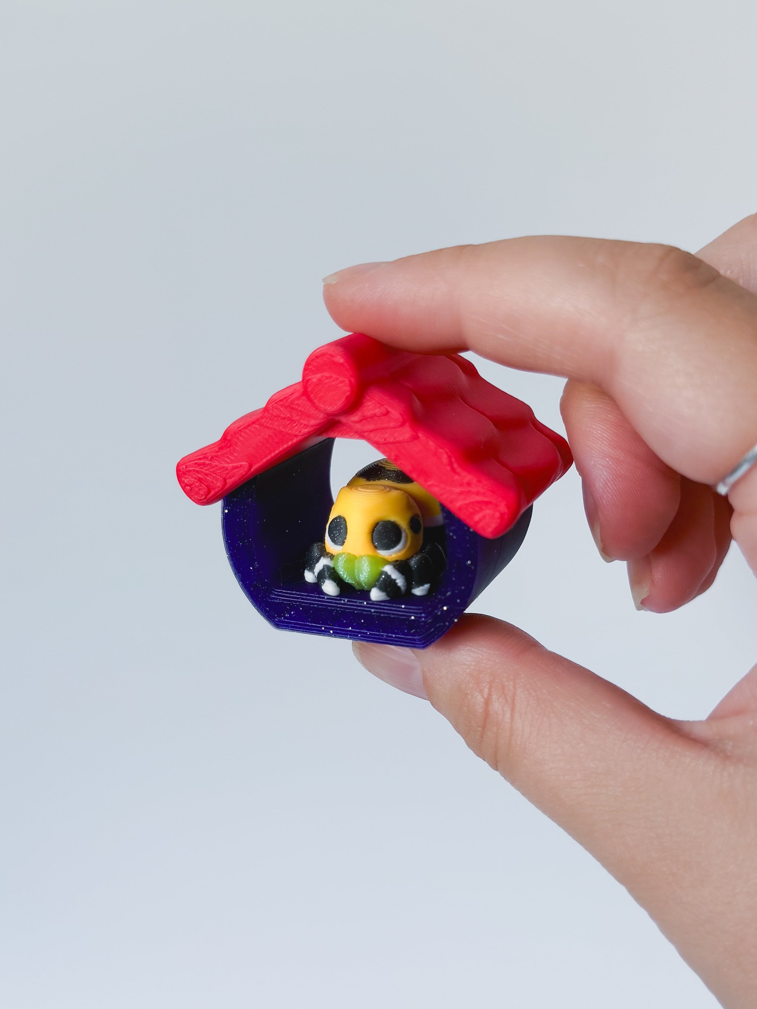 Mini Spider and Enclosure 3d model