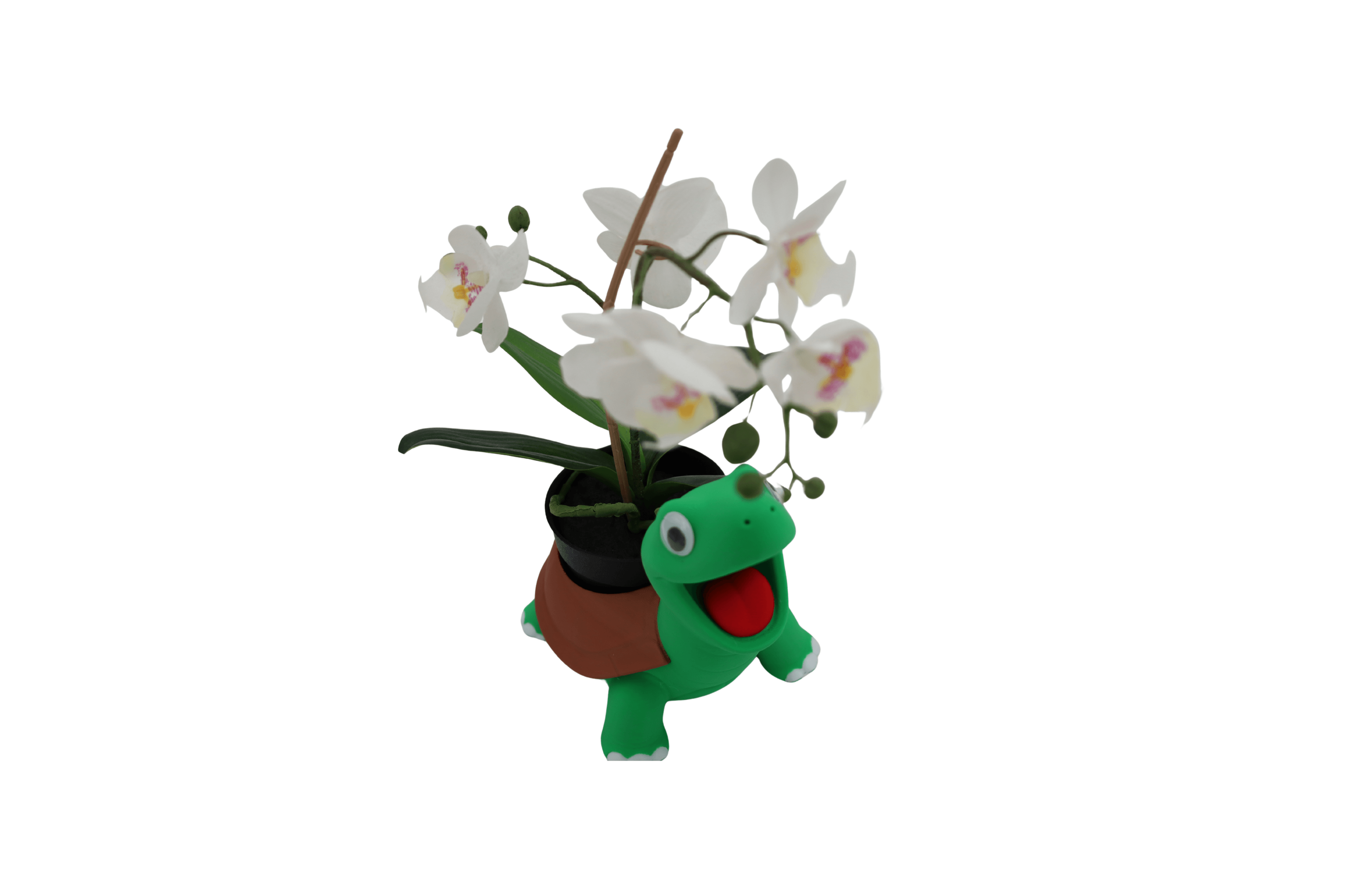 Turtle * Suculent Planter 3d model
