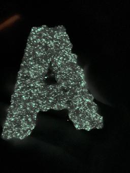 Lichen Letters - Same print, after some UV radiation and in the dark.

Sadly it doesn't look nearly as cool in real life(very cool still), it last very little.