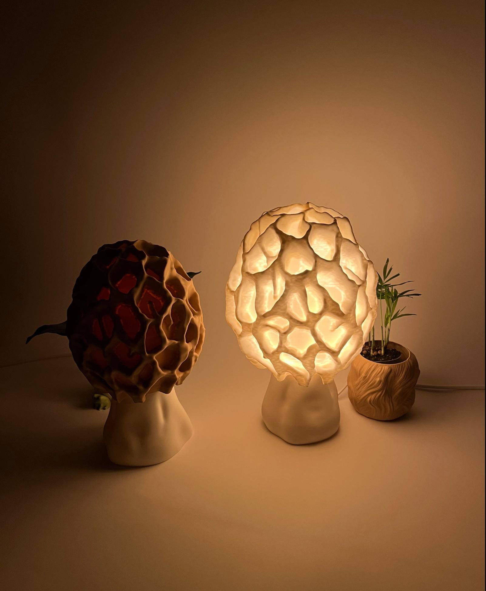 Table lamp “Esculenta Fungus” - This Morchellamp is one of the nicest table lamps that we right now have! The light itself is evenly distributed through out the whole room. Thanks to the softening effect it gives chille vibes. We definitly enjoy the design by gazzaladra a lot. Thanks a lot! - 3d model