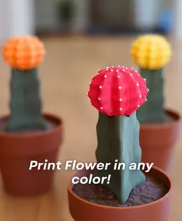 Phoney Cactus - The Moon Cactus Phone Stand 3d model