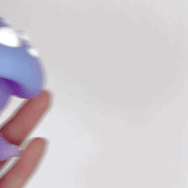 Mushroom Pixie 3d model