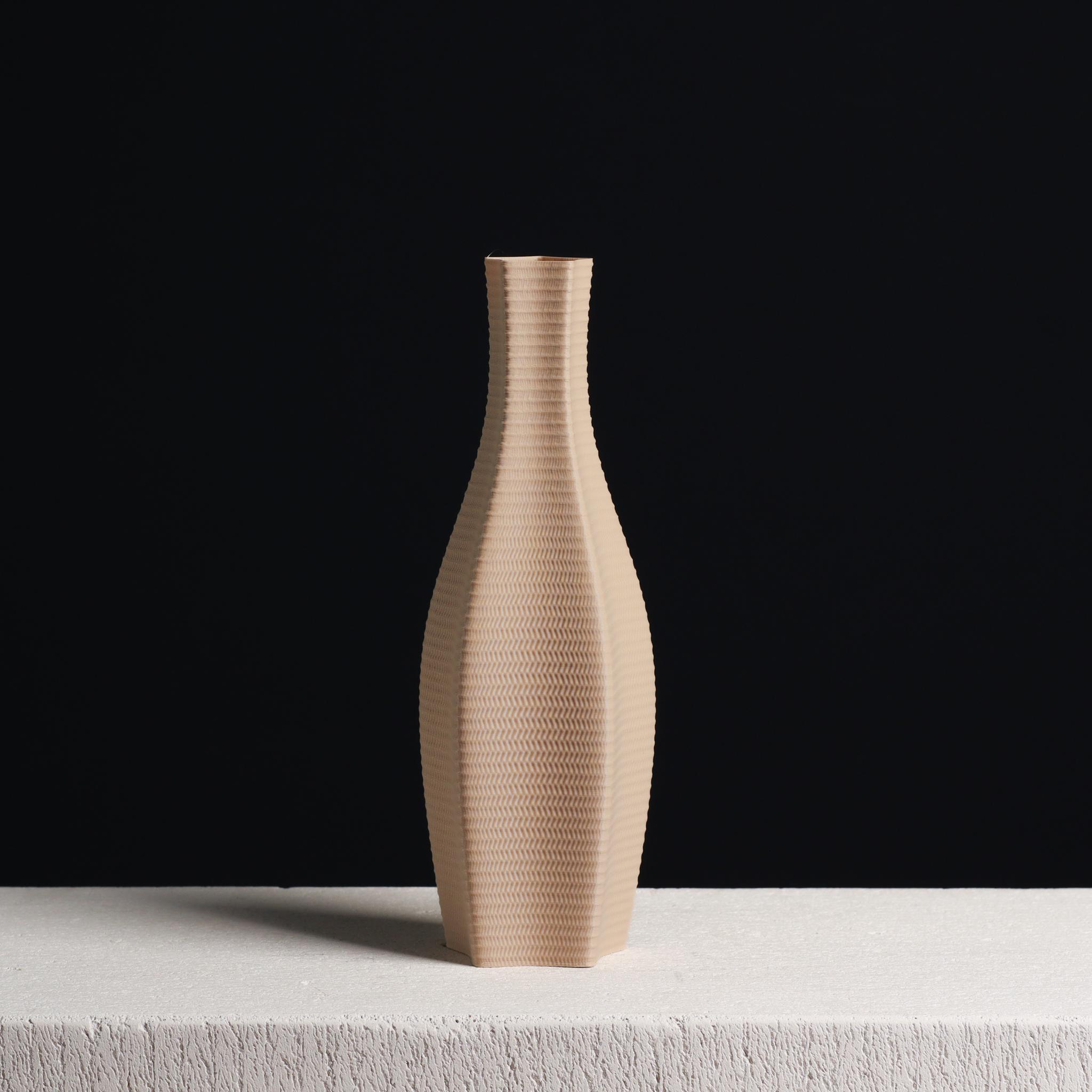  Wickered Vase (Vase Mode)  3d model