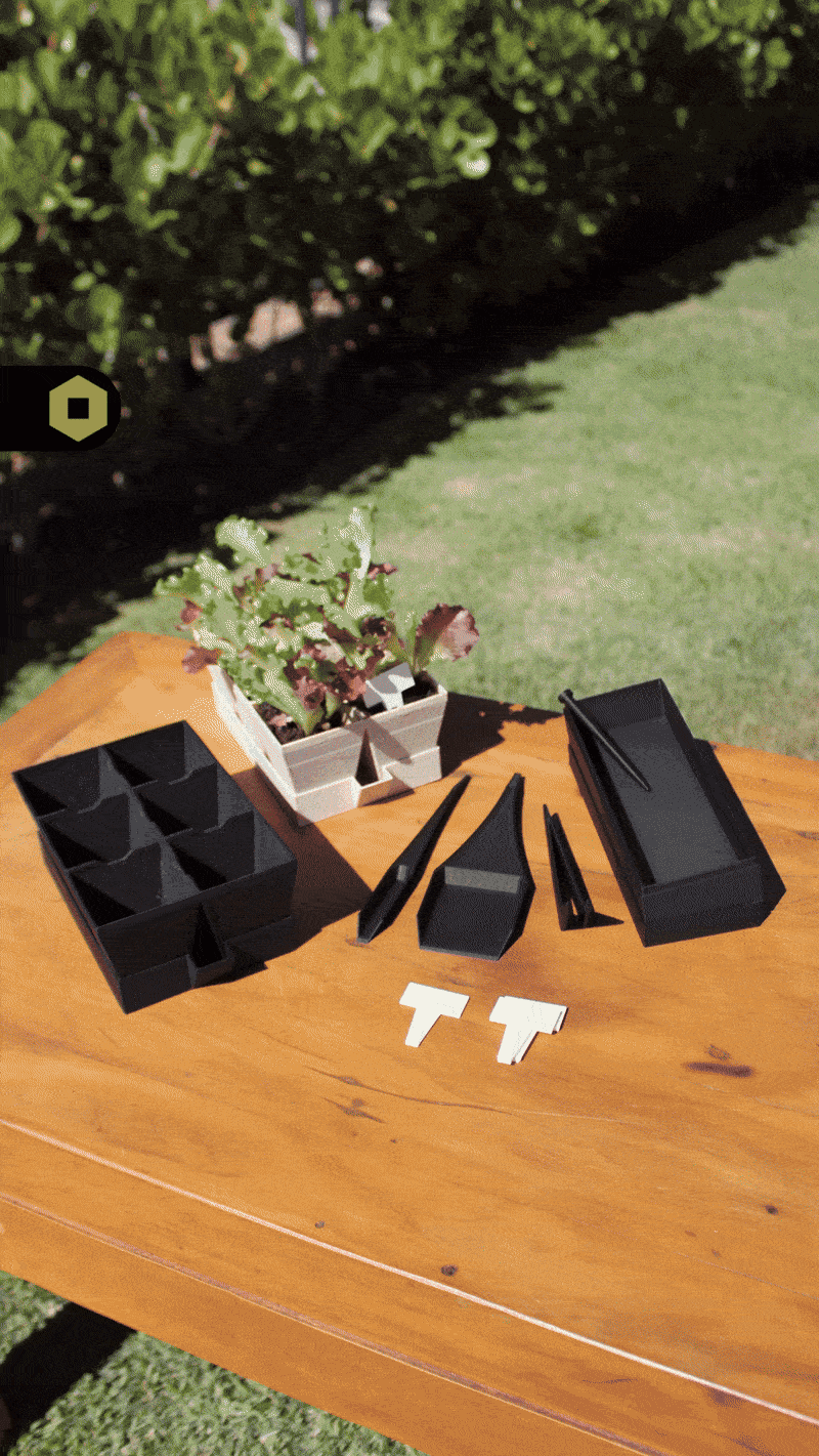 Garden Seedling Starter Kit 3d model