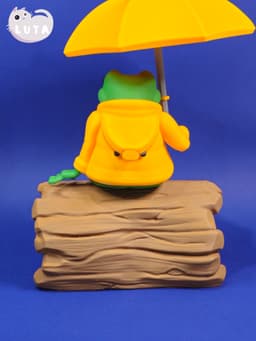Duck Raincoat Frog 3d model