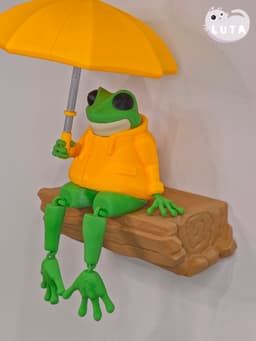 Duck Raincoat Frog 3d model