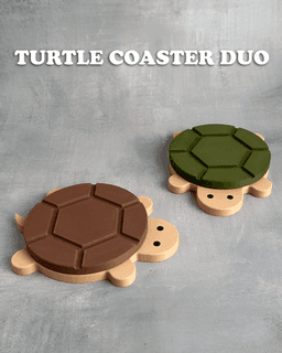 Turtle Coaster Duo 3d model