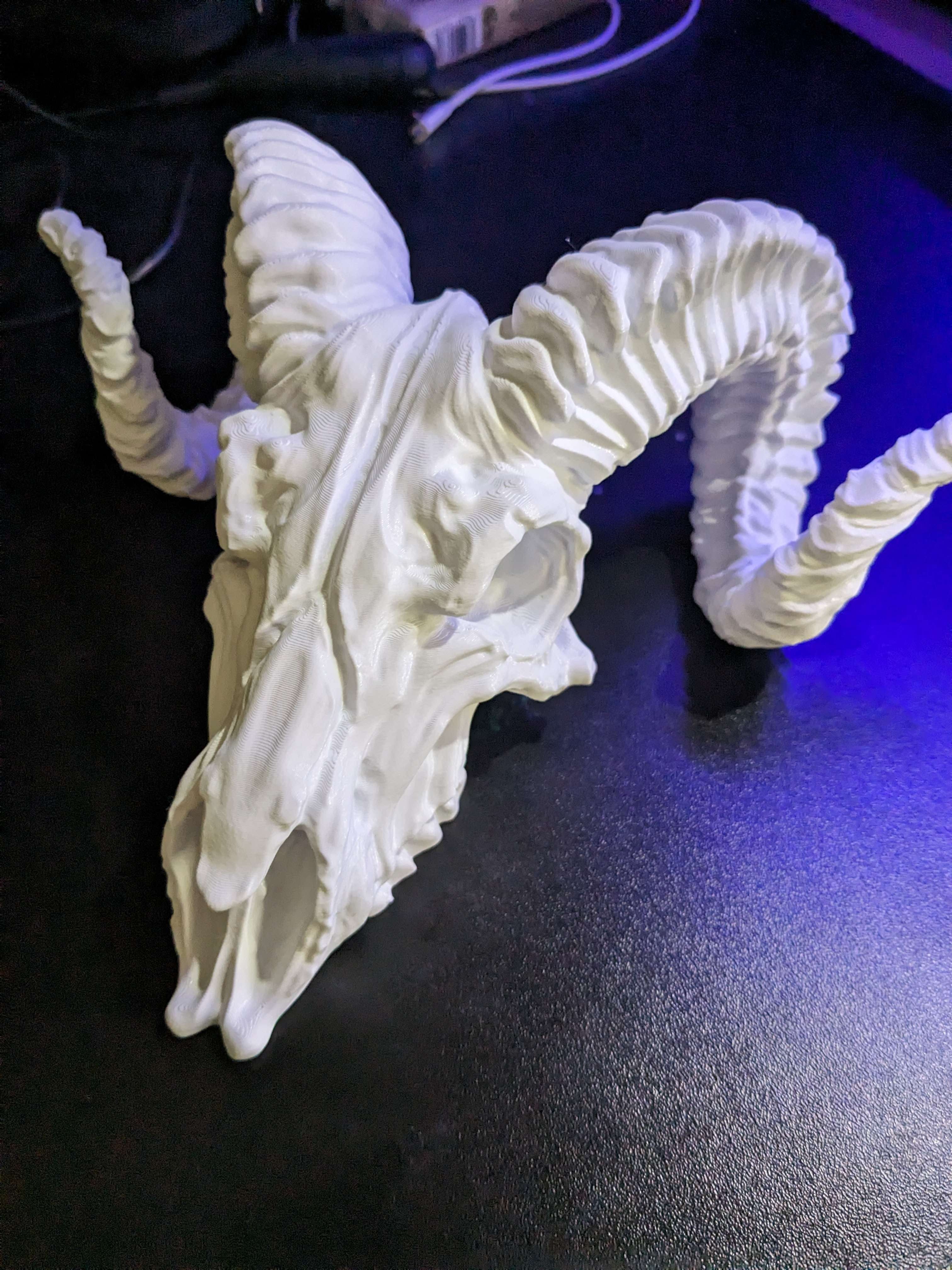 Printed on a P1P in PLA+. 5% Gyroid, slim tree supports, 0.4 Nozzle.
Thanks for the model.