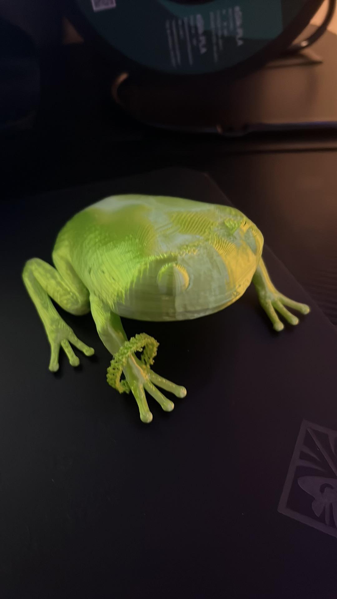 Green Tree frog 3d model