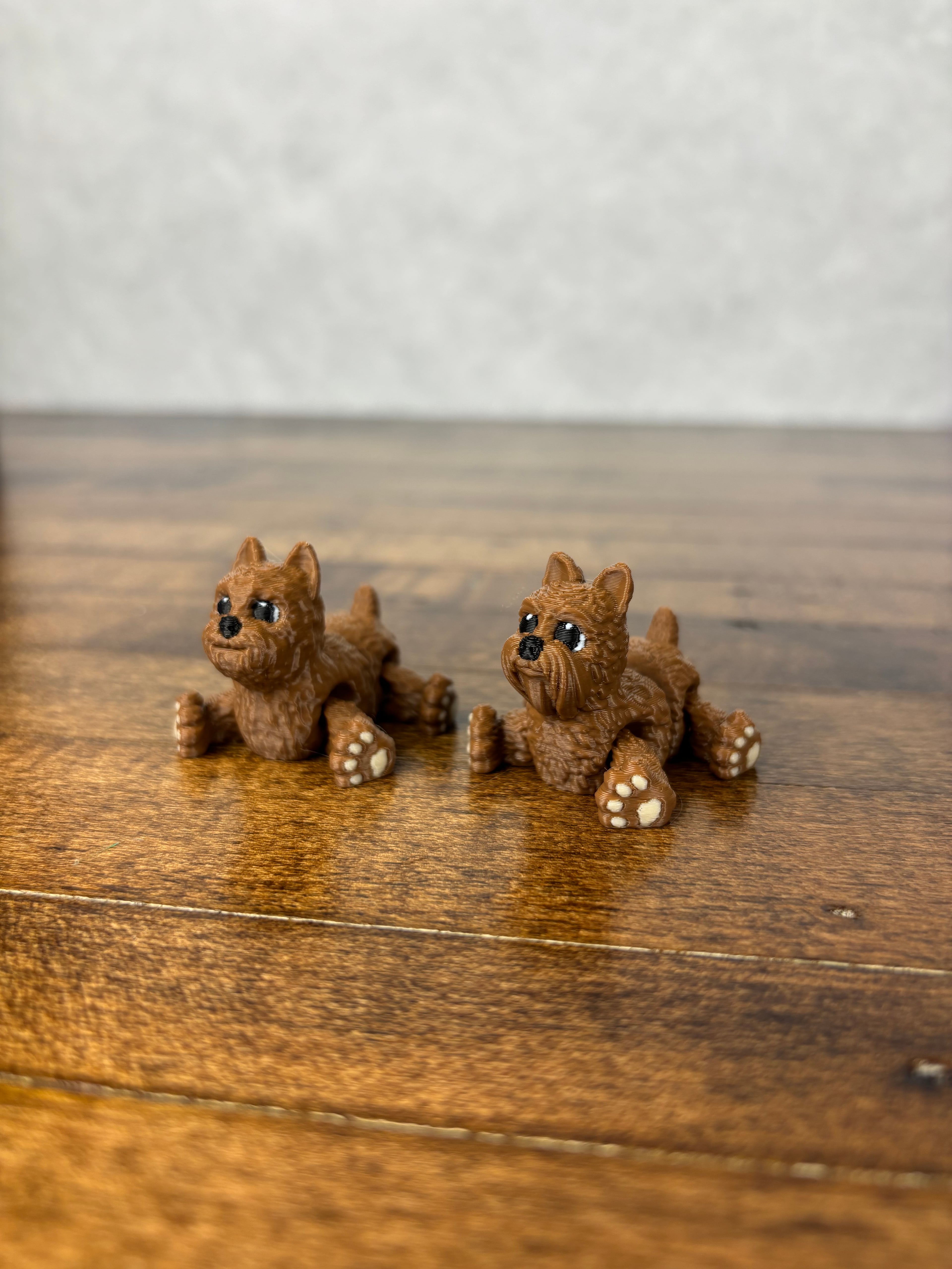 Yorkie Fidgets 3d model