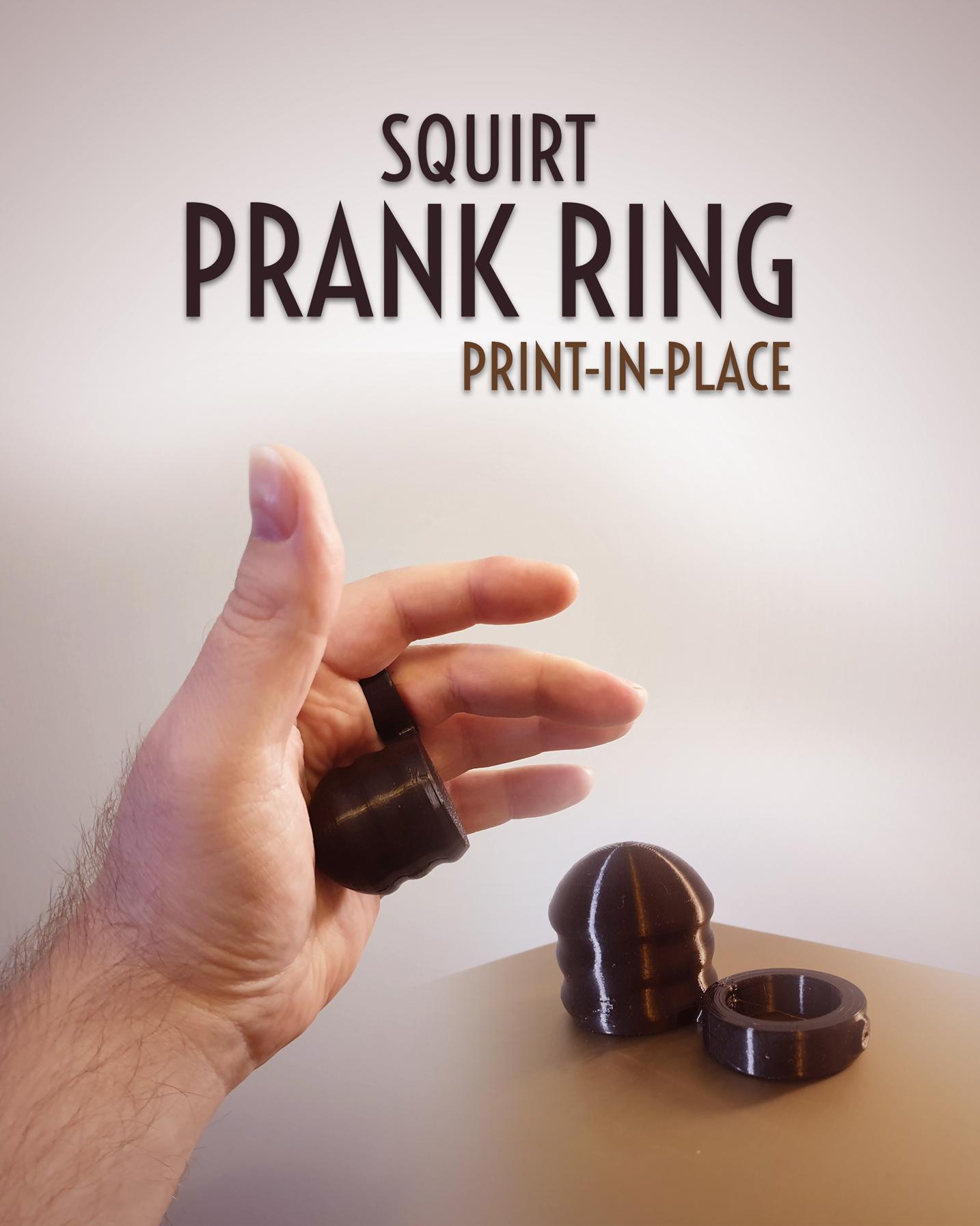 Squirt Prank Ring 3d model