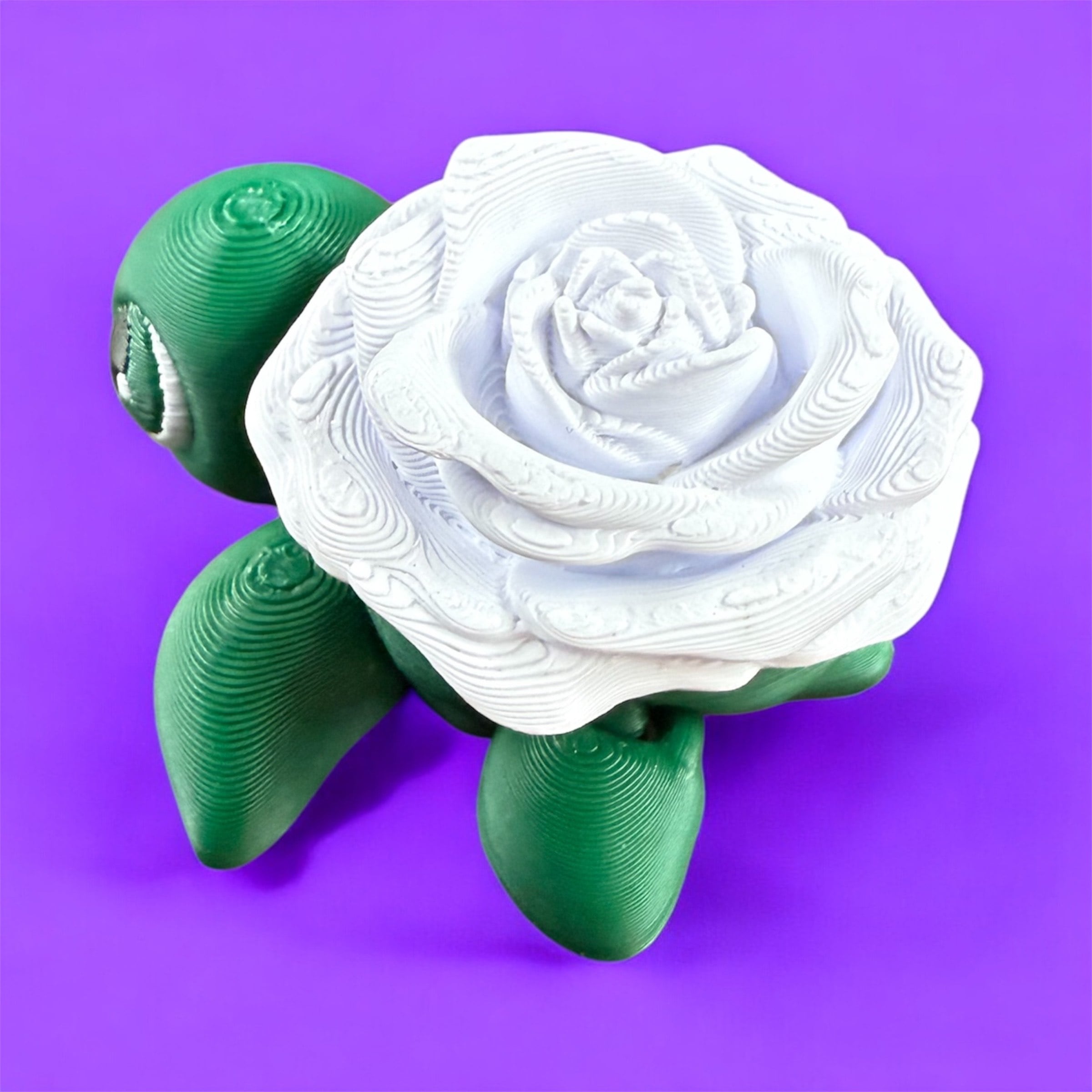 Baby Rose Turtle 3d model