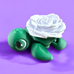 Baby Rose Turtle 3d model