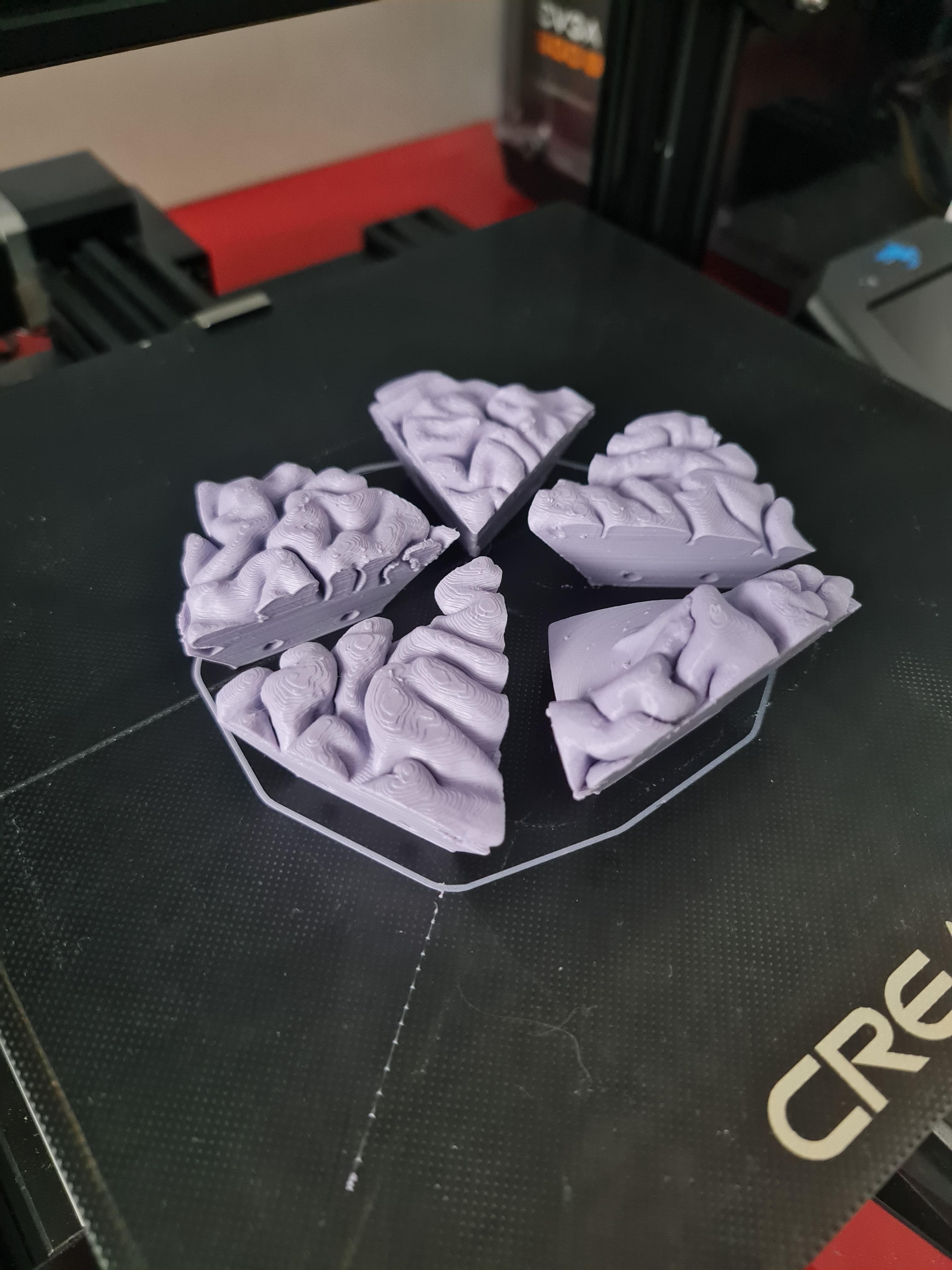 Brain Teaser 3d model