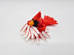Flexi Cardinal & Blue Jay Pocket Pets Bundle 3d model