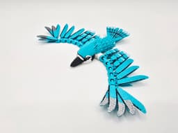 Flexi Cardinal & Blue Jay Pocket Pets Bundle 3d model