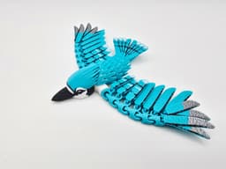 Flexi Cardinal & Blue Jay Pocket Pets Bundle 3d model