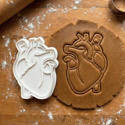 Anatomical Heart Cookie Cutter And Stamp 3d model