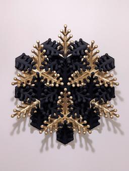 Coral Snowflake Wall Sculpture - My interpretation of Herschel's amazing work. Wanted to go for extremes of contrast, so mixed bright metallic gold spray paint and Stuart Semple's Black 2.0 ultra matte acrylic paint. 