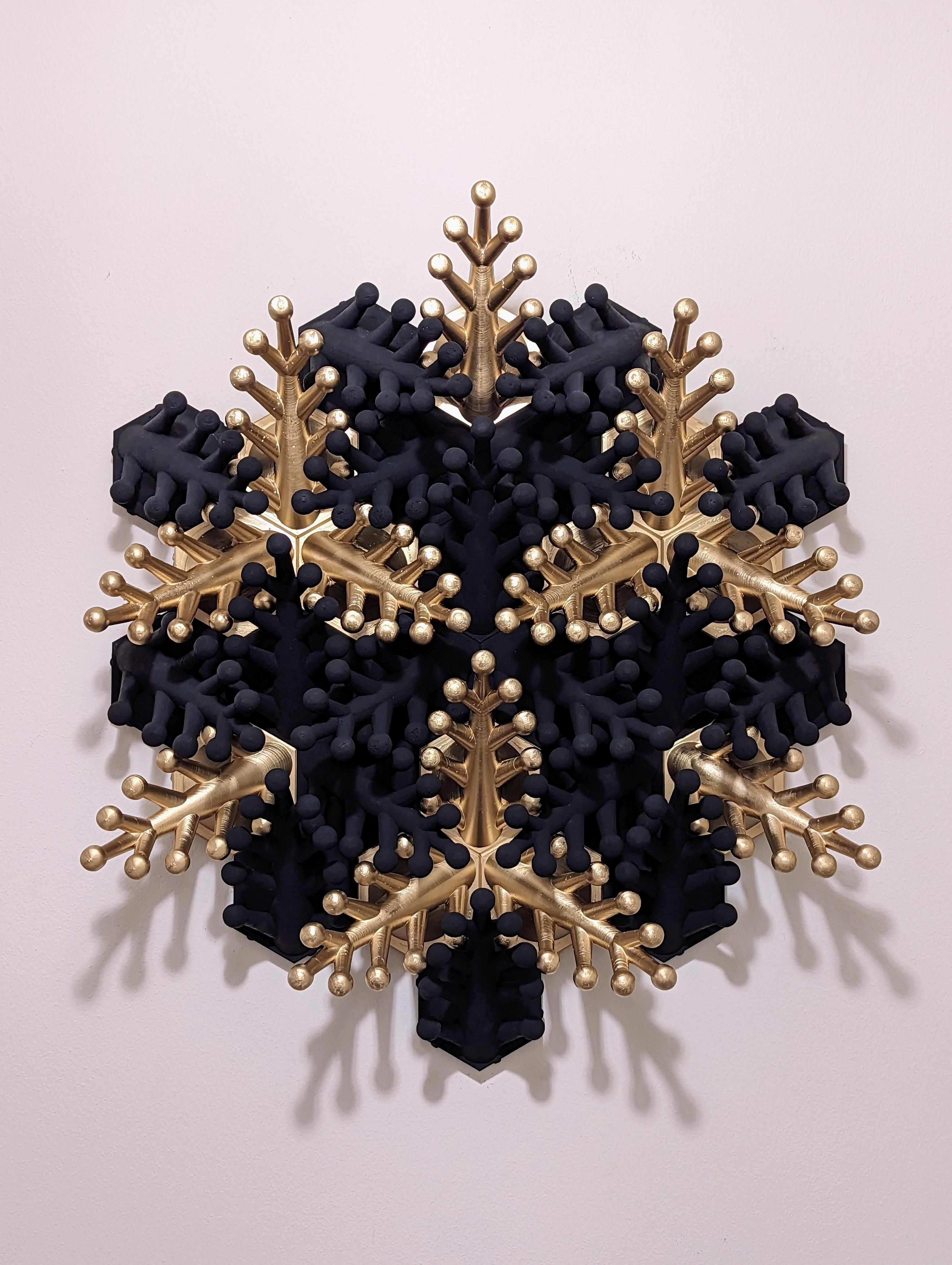 Coral Snowflake Wall Sculpture - My interpretation of Herschel's amazing work. Wanted to go for extremes of contrast, so mixed bright metallic gold spray paint and Stuart Semple's Black 2.0 ultra matte acrylic paint.  - 3d model