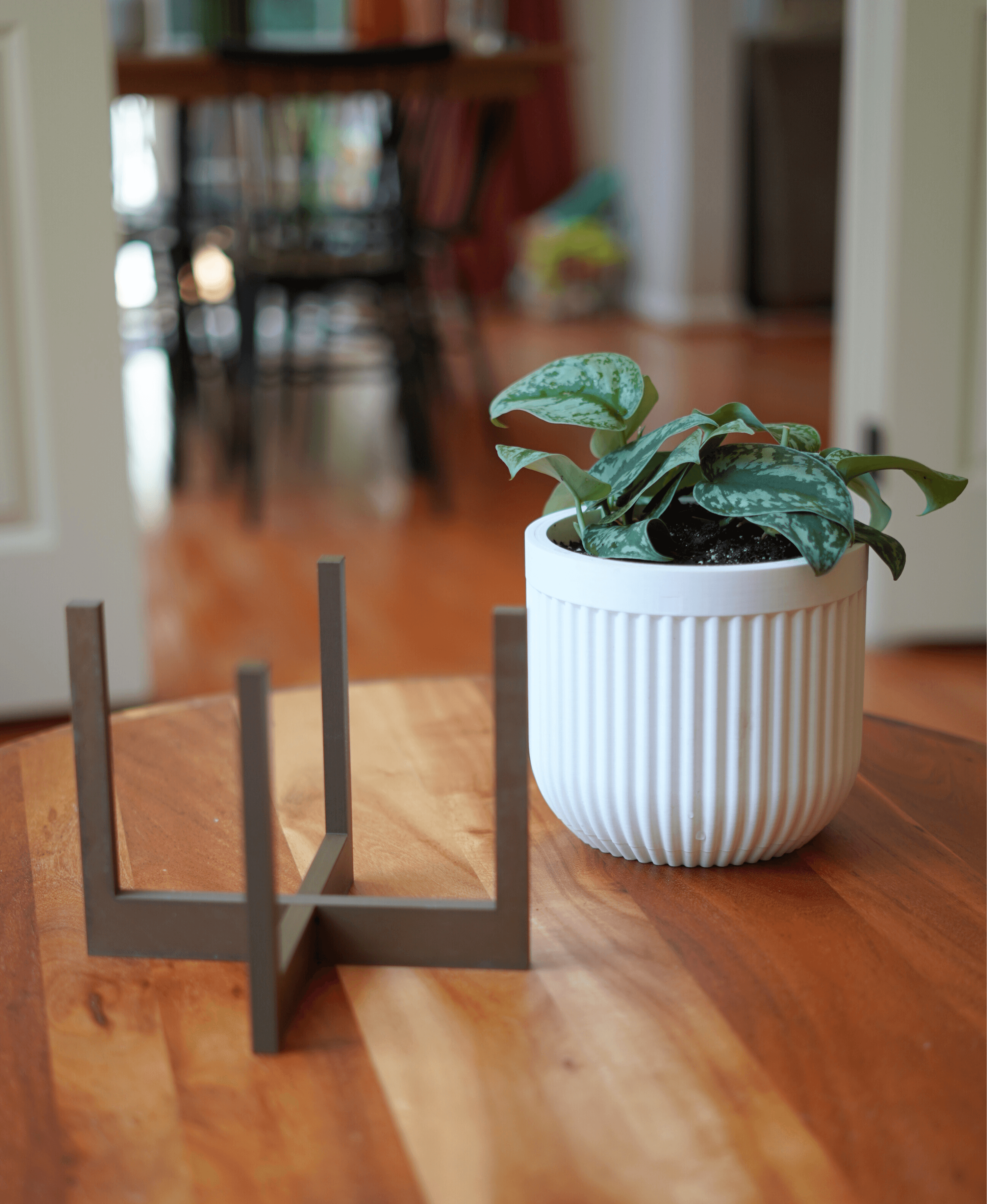 Alder Pot 3d model