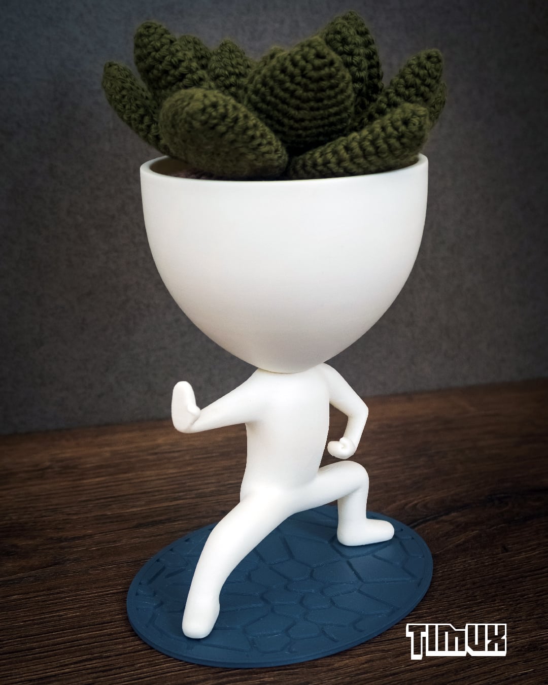 ROBERT PLANT DOING SHAOLING KUNGFU POSE 3d model