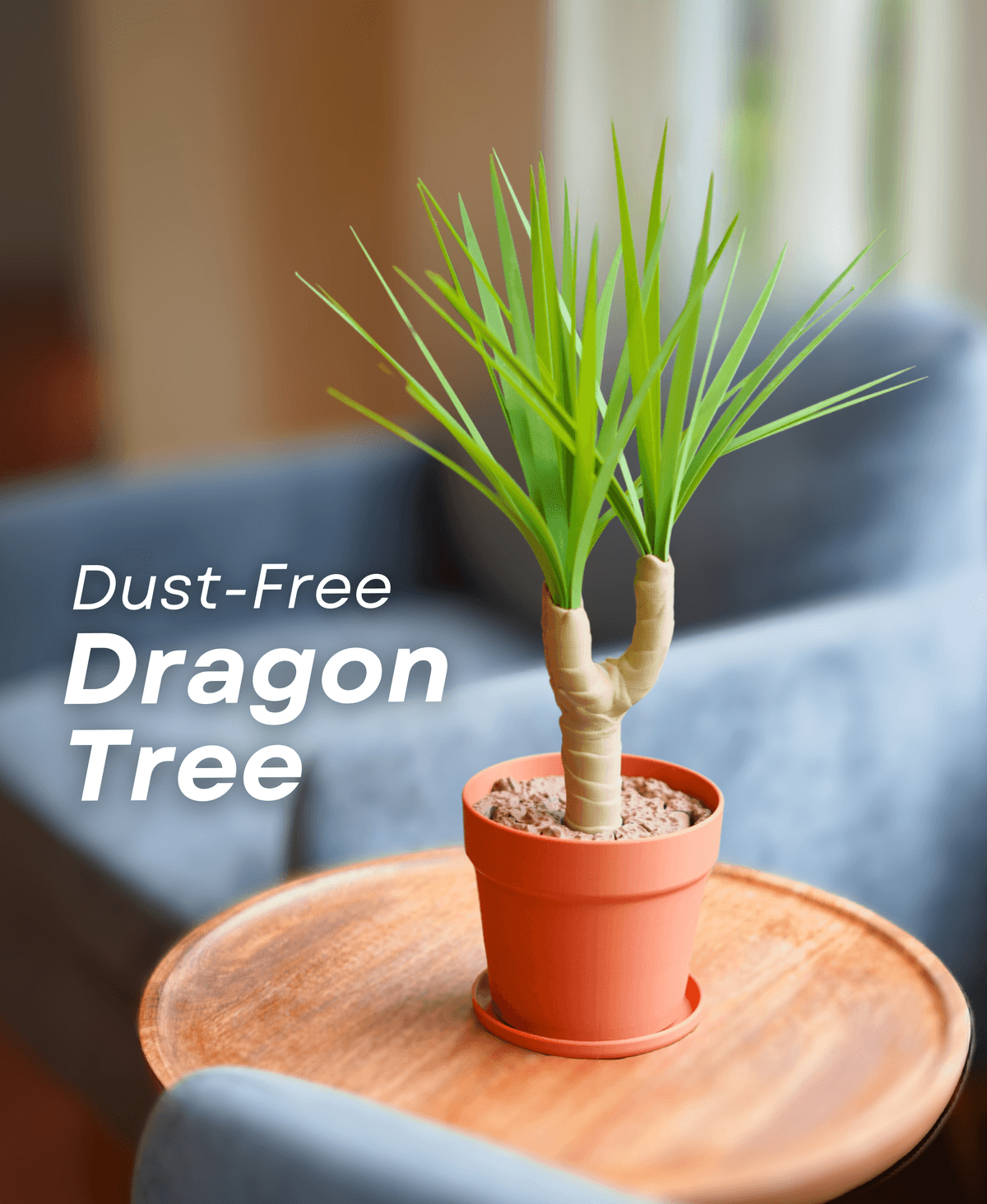 Dustbringer Tree Dust-Free Dragon Tree | The Brush, Trashcan, Dustpan all-in-one Plant ...