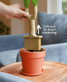 Dust-Free Dragon Tree | The Brush, Trashcan, Dustpan all-in-one Plant 3d model