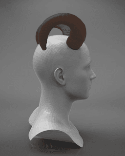Mouflon Horns 3d model