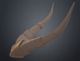 Antelope modified horns 3d model