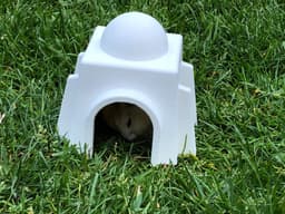 Hamster House Tatooine 1 3d model