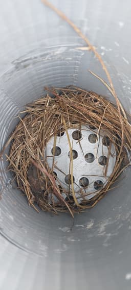 Gilbertson Inspired Bluebird House Nest Riser 3d model