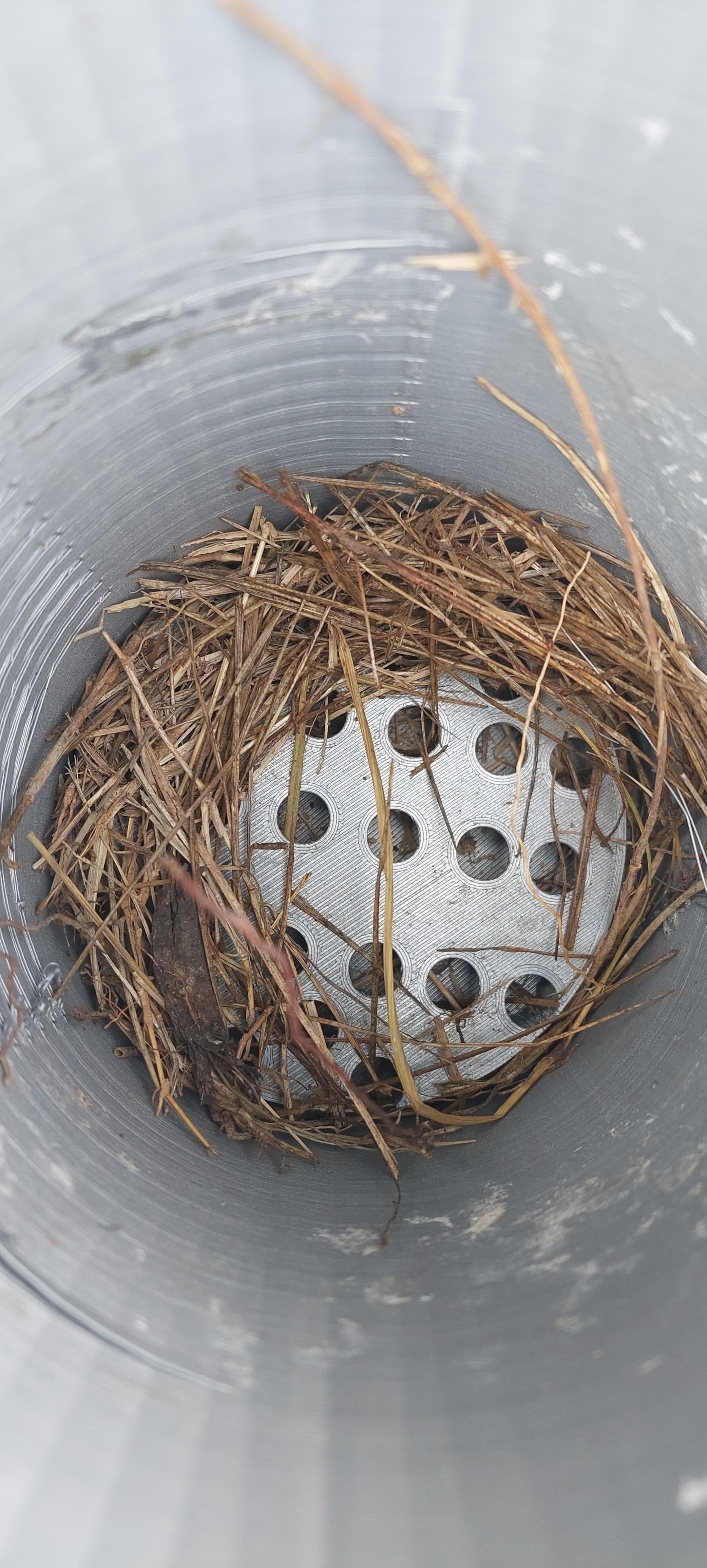 Gilbertson Inspired Bluebird House Nest Riser 3d model