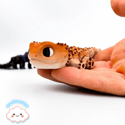 Bearded Dragon 3d model