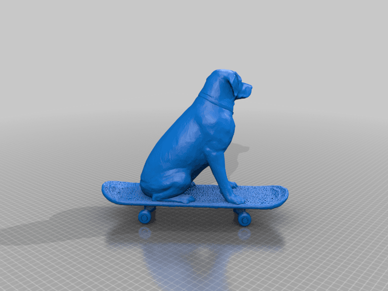 Labrador on a skateboard  3d model