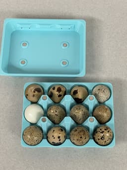 18-Count Quail Egg Carton design - use magnets to close lid 3d model