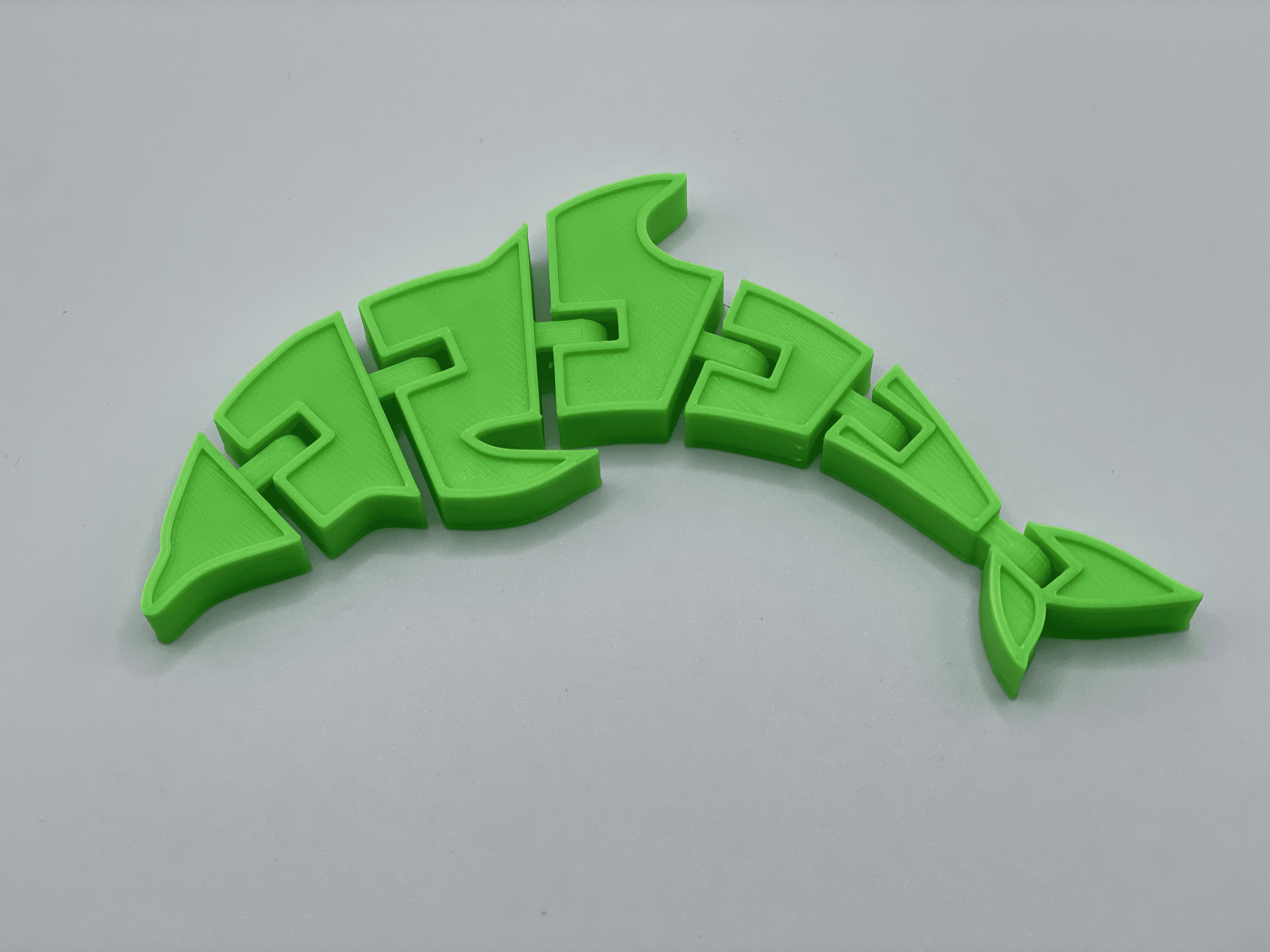 Flexi Dolphin 3d model