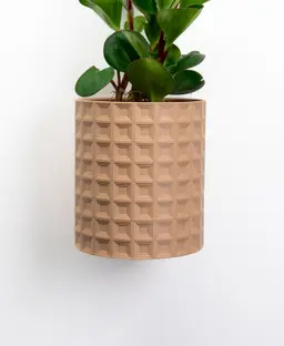 Echo Planter 3d model