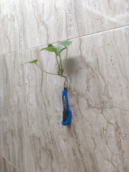 propagation_station_wall_mount.stl 3d model