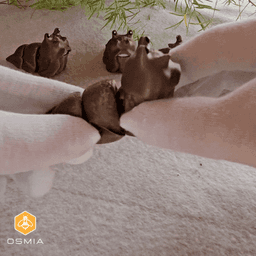 Osmia Flexible Slug 3d model
