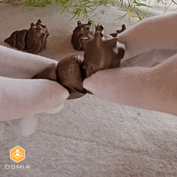 Osmia Flexible Slug 3d model