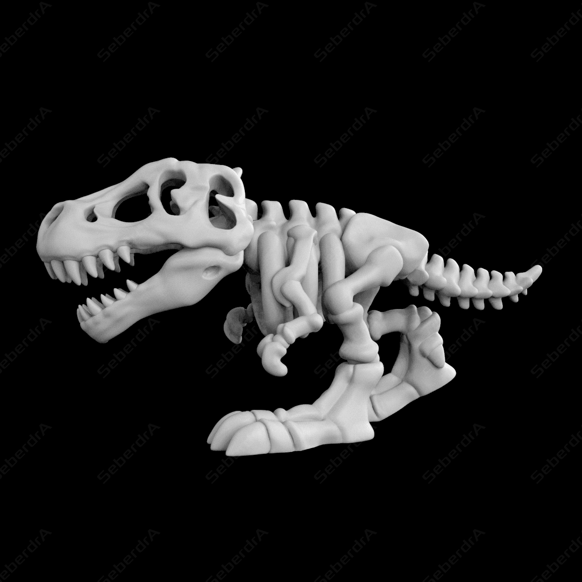 T-Rex_Skeleton 3d model