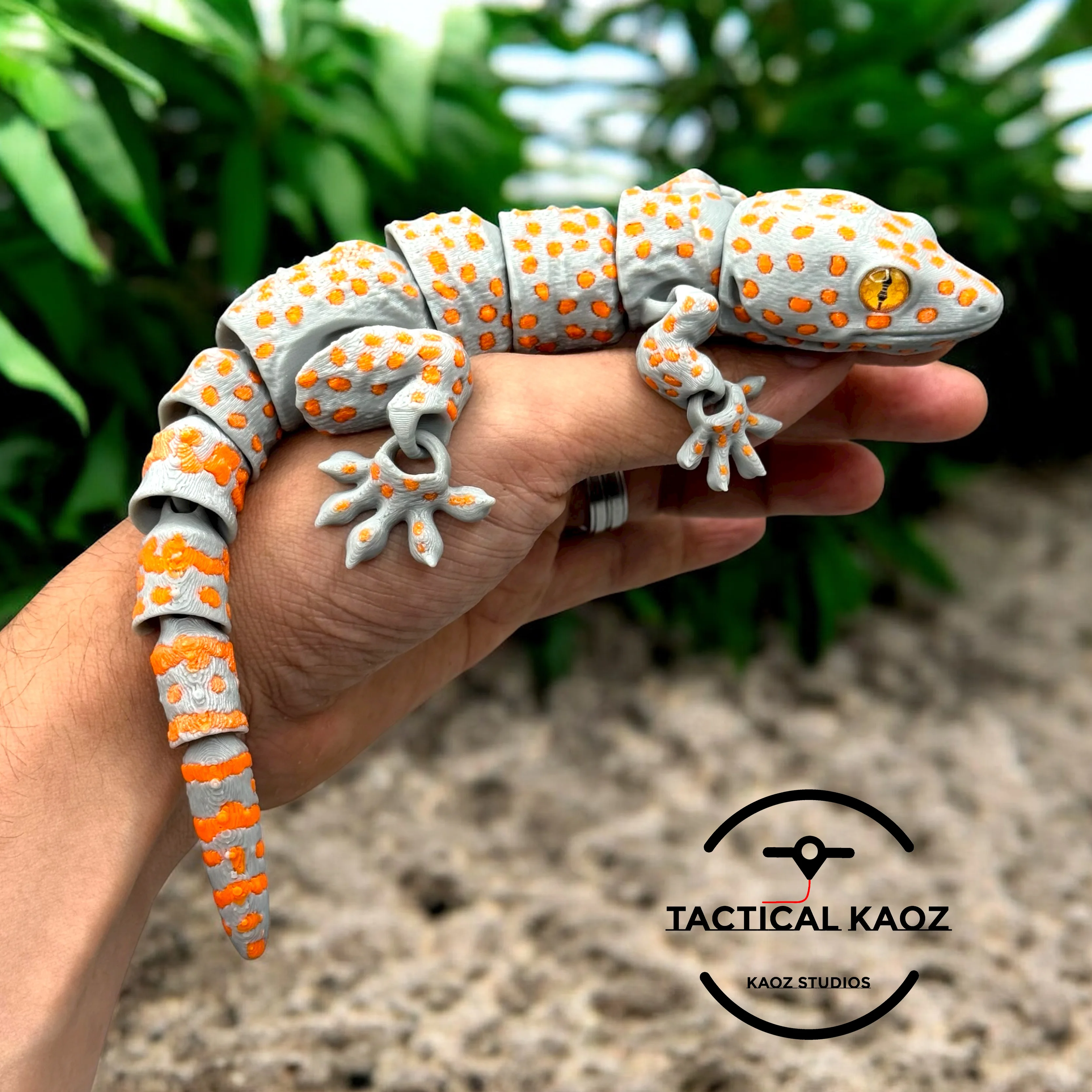 Articulated Tokay Gecko | Pre-Painted + Optional 8mm Glass Eye Version 3d model