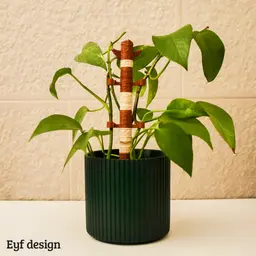 Tiki Totom Plant System 3d model