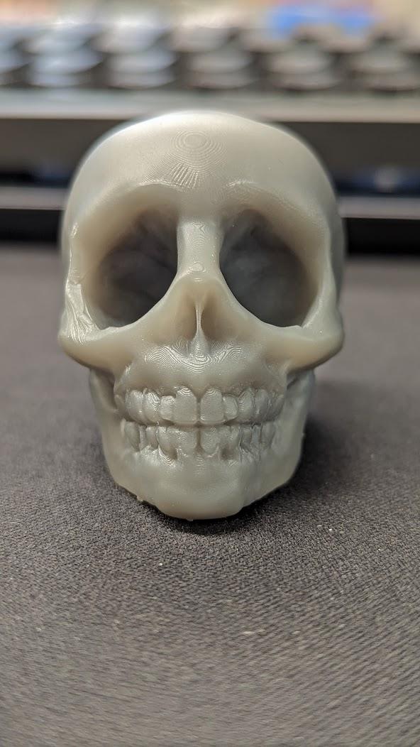 skull game anatomically inaccurate skull model - Form 3L with 0.05 mm layer height - 3d model