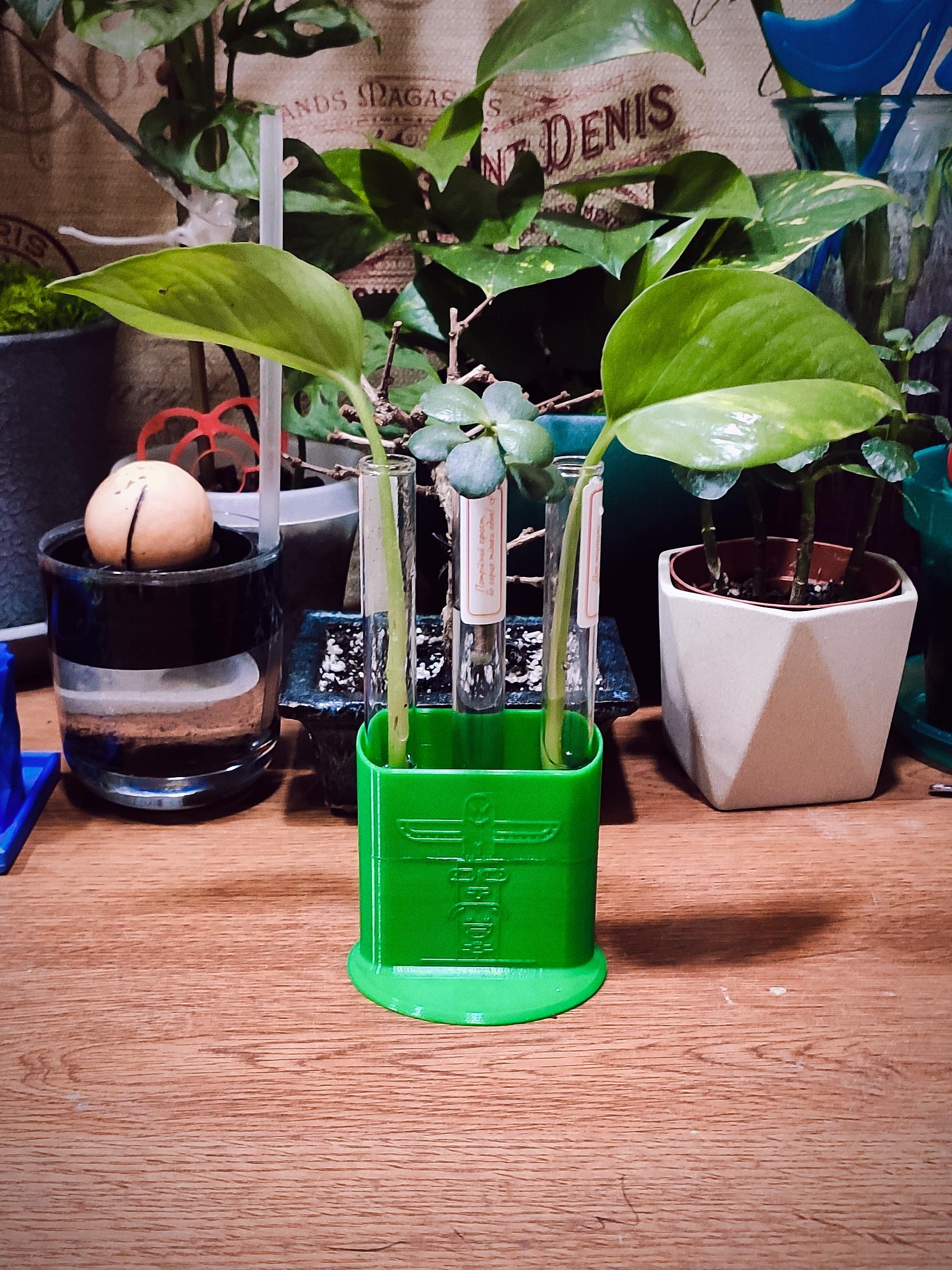 Planter stand for flasks (15 mm) 3d model