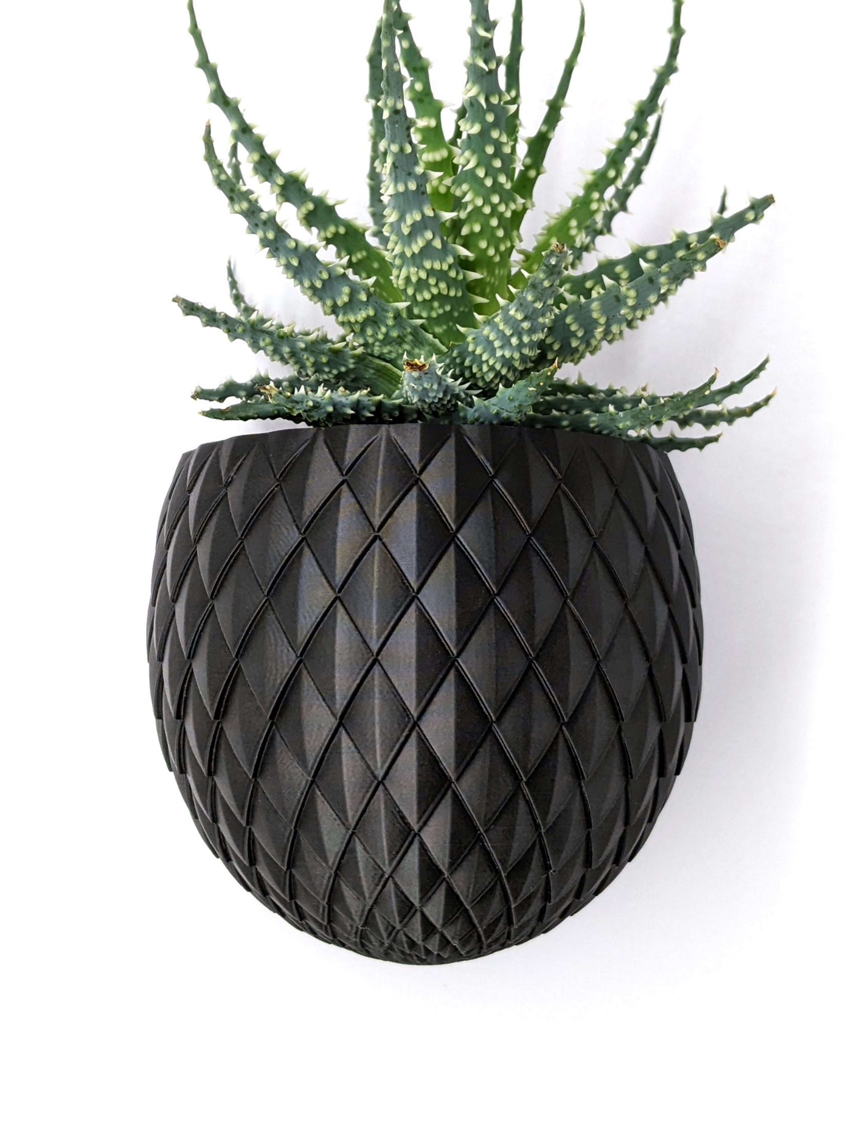 Wall PLANT POT Dragon Egg | PLANTER STL TO 3D PRINT | Version "Blossomscale" 3d model